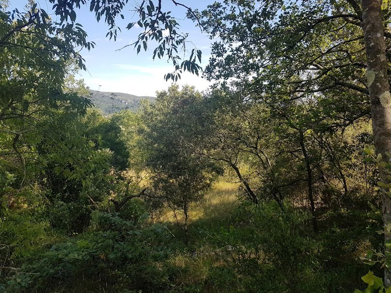 Vente terrain  1900 m² à Moulès-et-Baucels (34190), 180 000 €