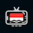 TV Indonesia Live Online 2024 icon