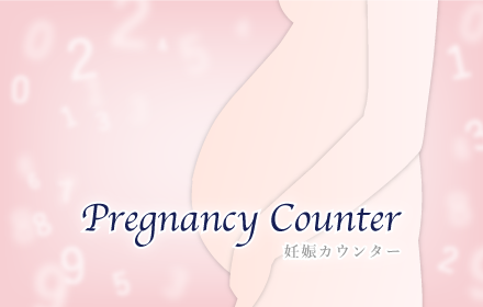 Pregnancy Counter - 妊娠カウンター Preview image 0