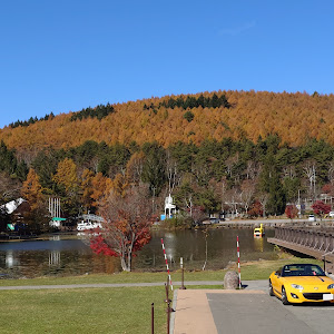 ロードスター NCEC