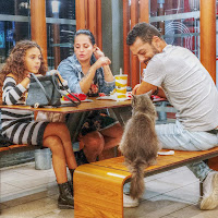 Una serata in famiglia di 