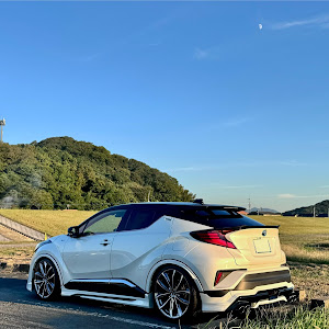 C-HR ZYX11