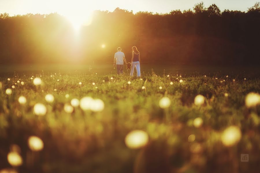 Wedding photographer Anton Fofonov (fotonlab). Photo of 26 May 2014