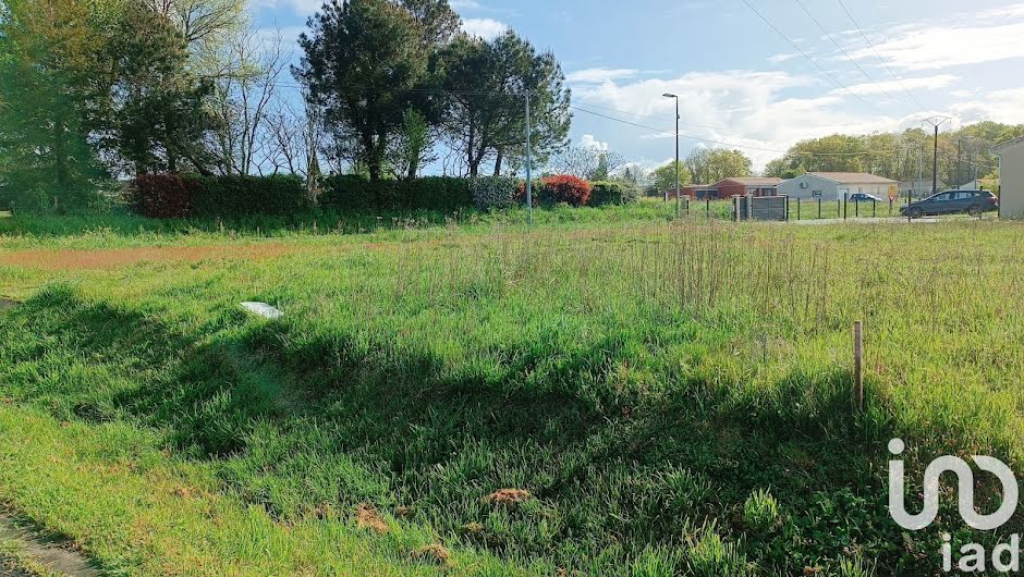 Vente terrain  1487 m² à Montendre (17130), 82 000 €