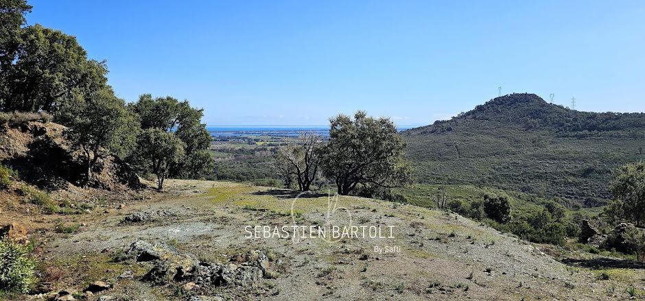 Vente terrain  2000 m² à Biguglia (20620), 525 000 €