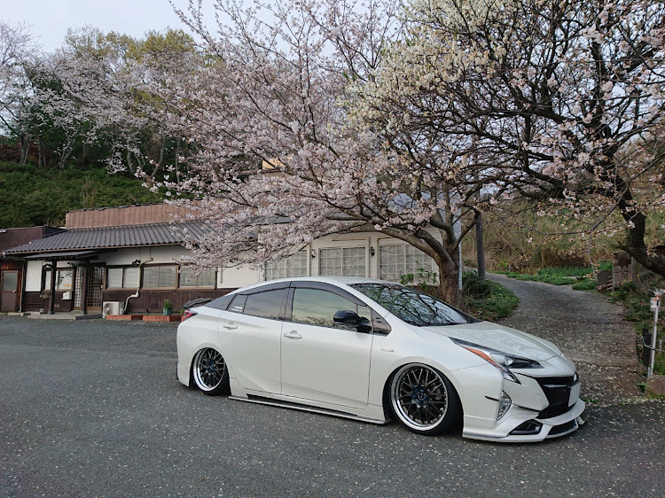 プリウスのドライブ・桜とコラボ・サクラと愛車・桜に関するカスタム事例の投稿画像26枚目