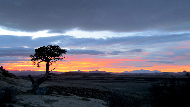 Juniper sunrise