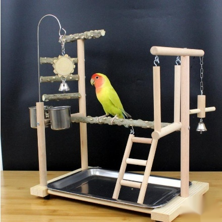Title 2, Parrot Toys Tiger Skin Peony Bird Stand Xuanfen...