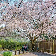 陽明山平菁街橘咖啡