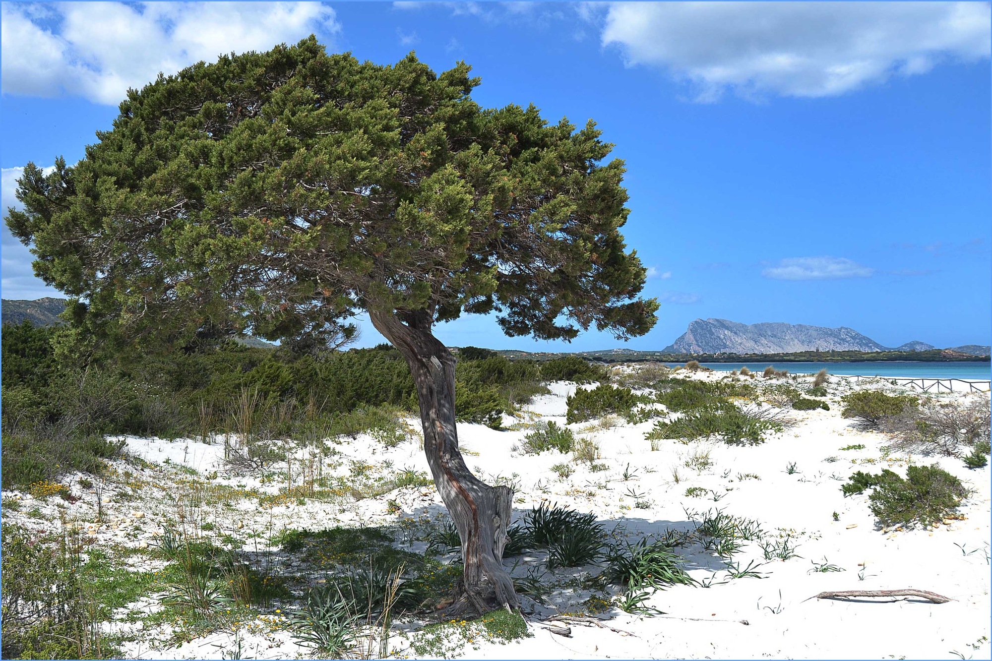 la belleza della Sardegna di Inna