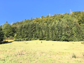 terrain à Bellevaux (74)