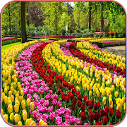 HD  Beautiful Garden Wallpapers 1.01 Icon