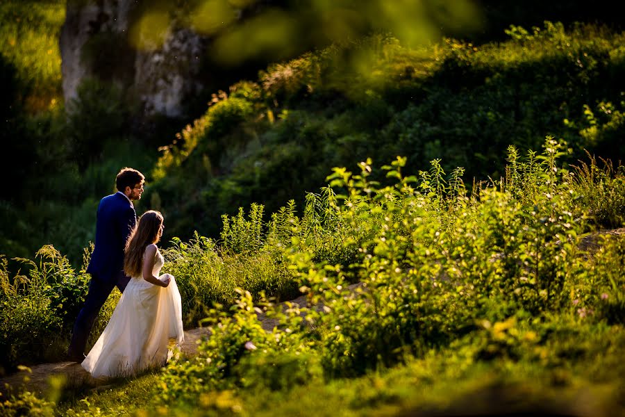 Photographe de mariage Michał Lis (michallis2). Photo du 20 juillet 2016