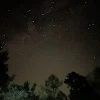 ユーザー