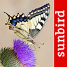 Butterfly Id - British Isles icon