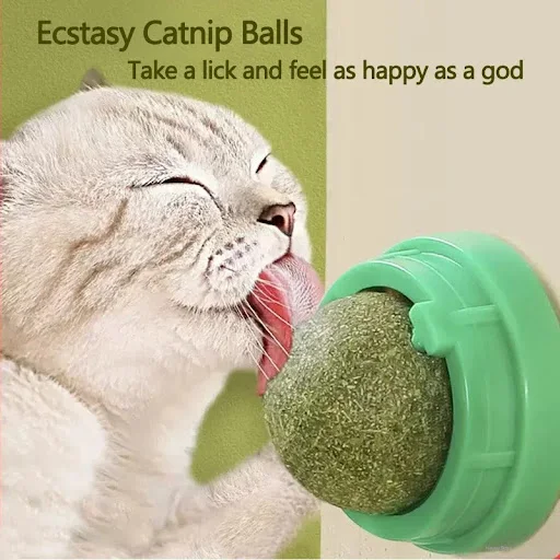Natural Catnip Scratching Post for Cat Scrapers Cat Wall Sticker Ball Toy Scraper Cats Pet Products Therapeutic Healthy 