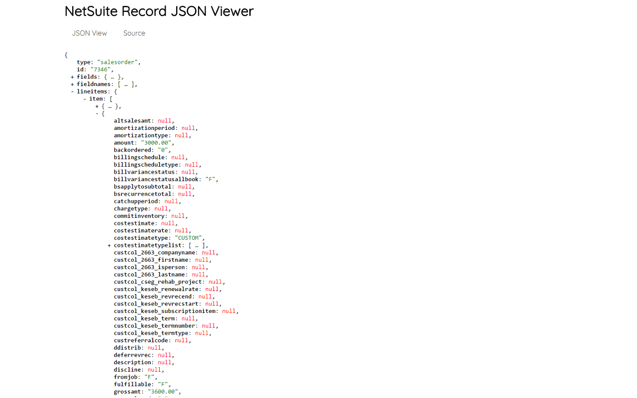 NetSuite Record JSON Viewer Preview image 1