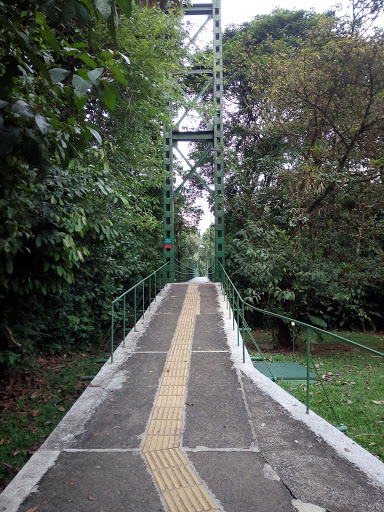 La Selva Bridge