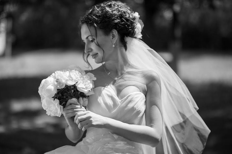 Wedding photographer Elena Efimova (beznika). Photo of 27 August 2013