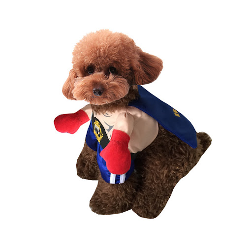 Title 6, Boxer Halloween Dog Clothes Upright Outfit. Dre...