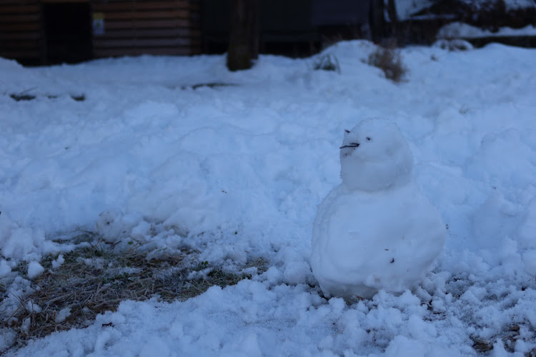 アトレーのアトレー乗って行ってきた🤓・白川郷・カロスポで行けんじゃね？・冬の空と愛車・雪景色と愛車に関するカスタム事例の投稿画像17枚目