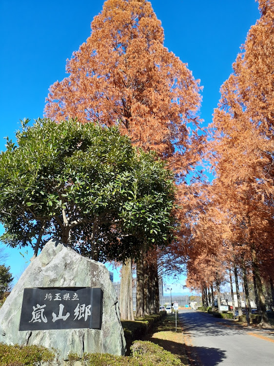 スイフトの嵐山郷・紅葉弾丸ツアーに関するカスタム事例の投稿画像1枚目