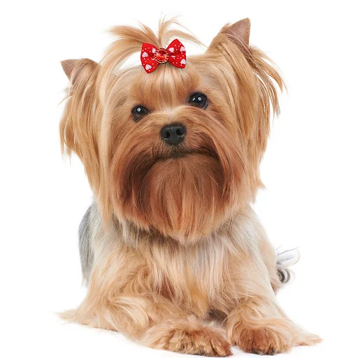Dog Grooming Ribbon Bows Mix Colorful Pet Hair Bowknot Puppy Accessories Matching Bandana Hair Pet Dog Bows