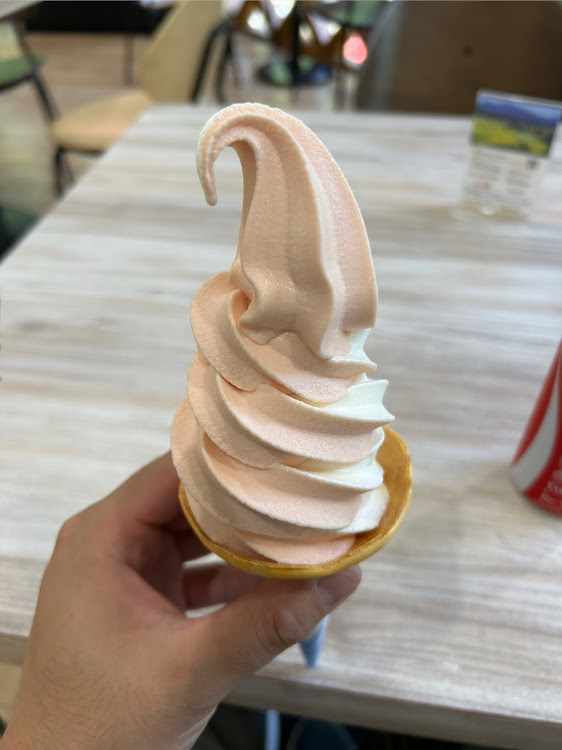 86のドライブ・斜め45度の美学・斜め45度後方の美学・熱中症に注意に関するカスタム事例の投稿画像3枚目