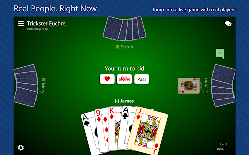 Bid Euchre Game