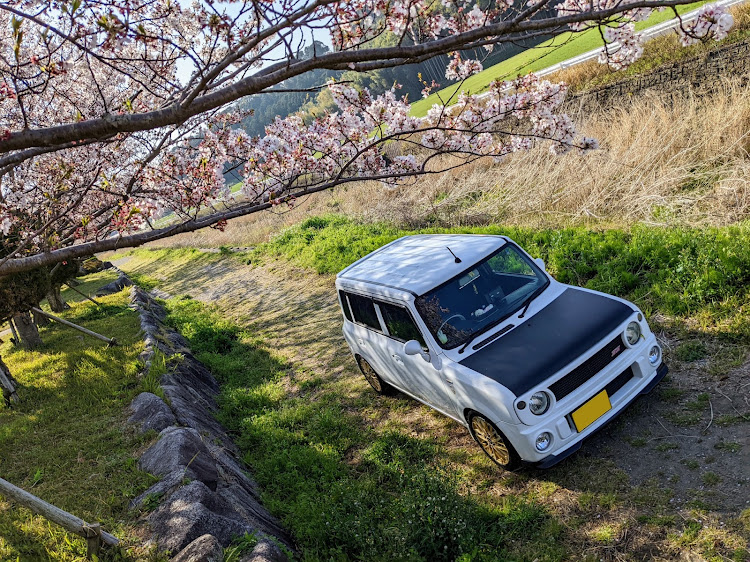 の投稿画像1枚目