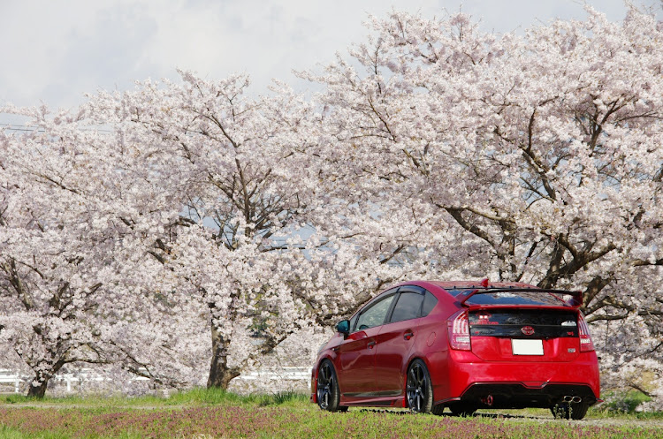 プリウス G'sの桜コラボ・Y.G.T.C・RED PRIUS FAMILY・puriten familyいつもありがとう😊👍に関するカスタム事例の投稿画像5枚目