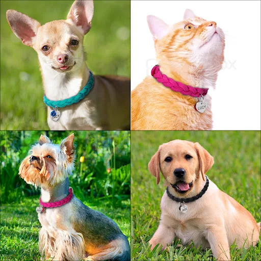 Suede Leather Personalized Dog Cat Collar Free Engraving Puppy Kitten Bell Collars Braided Neck Belt With Engraved Heart