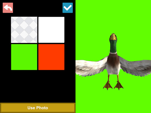 Bird 3D Reference