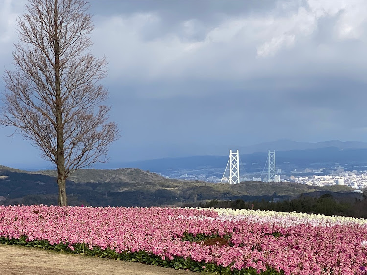 500Xのnoboさんが投稿したカスタム事例の投稿画像5枚目