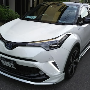 C-HR ZYX10