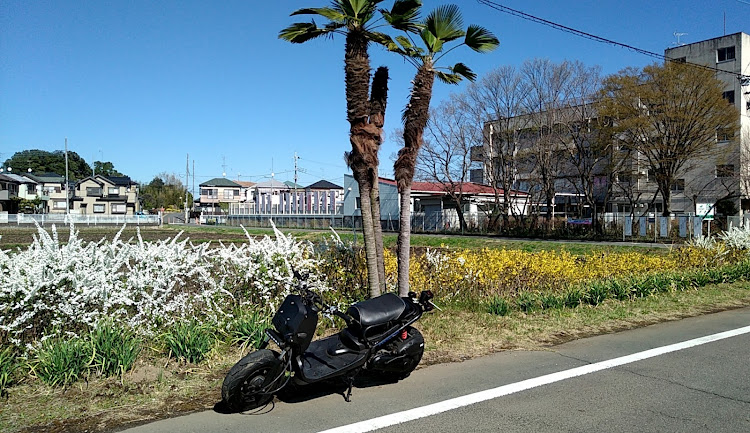 bBのbB NCP・今までに所有した車でNo.1は？・風が気持ち良い😁に関するカスタム事例の投稿画像3枚目