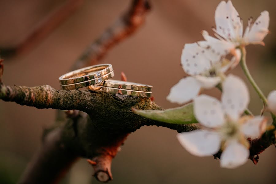 Fotógrafo de casamento Dóra Bella (belladorafoto). Foto de 3 de maio 2023