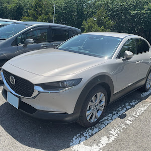 CX-30 DMEP