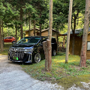 アルファード AGH30W