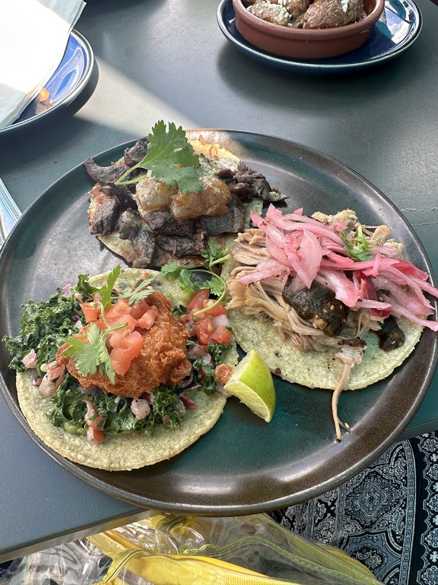 Carne asada, carnitas, fried fish