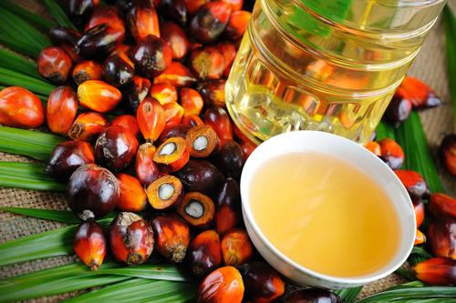 Palm oil Benefits