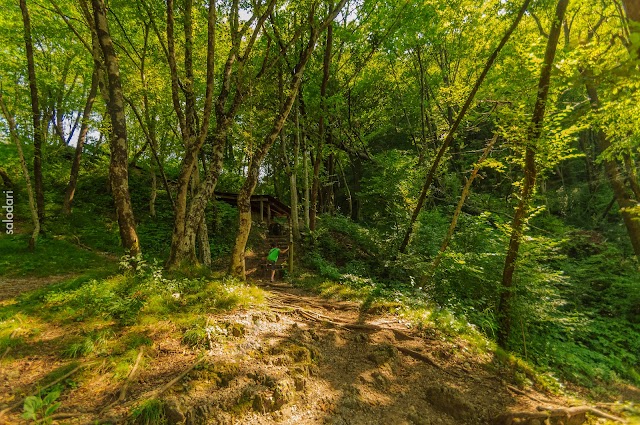 EL KOBARID HISTORICAL TRAIL Y EL RÍO NADIZA - Eslovenia en familia, un pequeño bocado en 16 días (3)