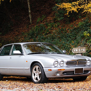 XJ J13LB