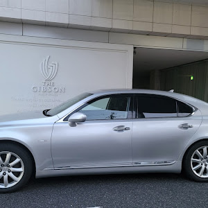 LS USF40