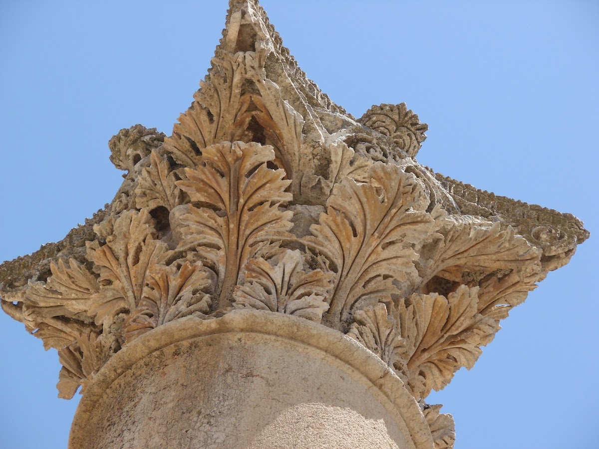 Corinthian Capital