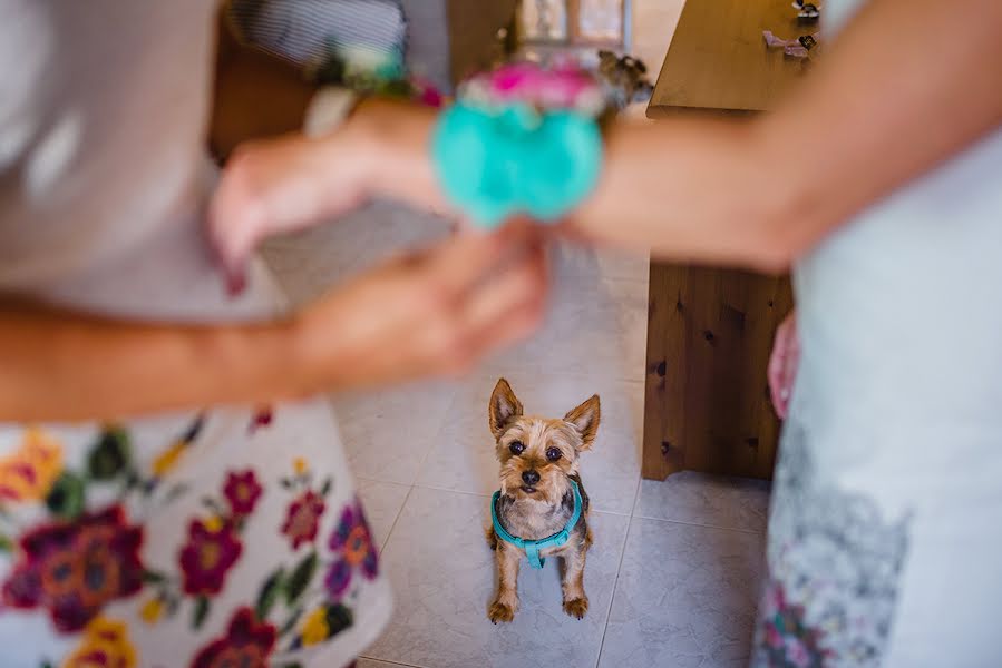 Photographe de mariage Javier Pérez (javierperez). Photo du 11 juillet 2019