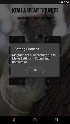 免費下載音樂APP|Koala Bear Sounds app開箱文|APP開箱王