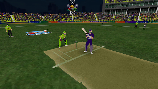 Screenshot Pakistan T20 Cricket Games 3D