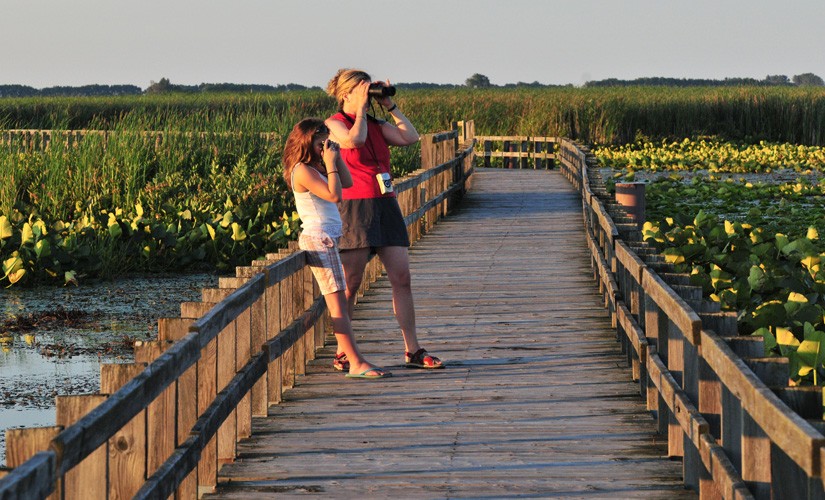 How Far Is South Padre Island From Houston 
