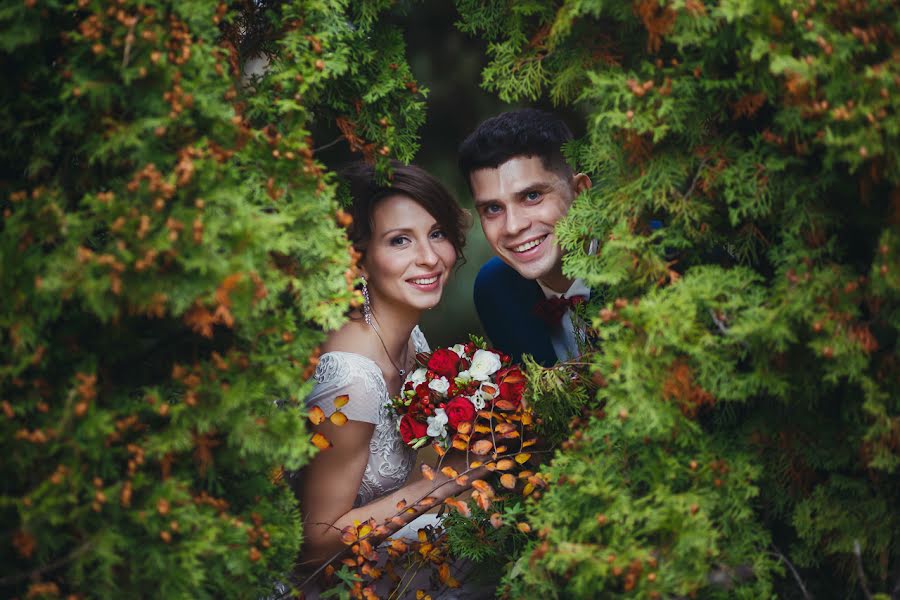 Fotógrafo de bodas Aleksey Cibin (deandy). Foto del 16 de noviembre 2017